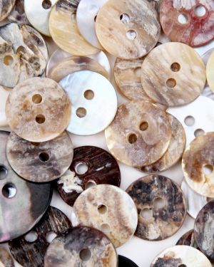 Shell Button